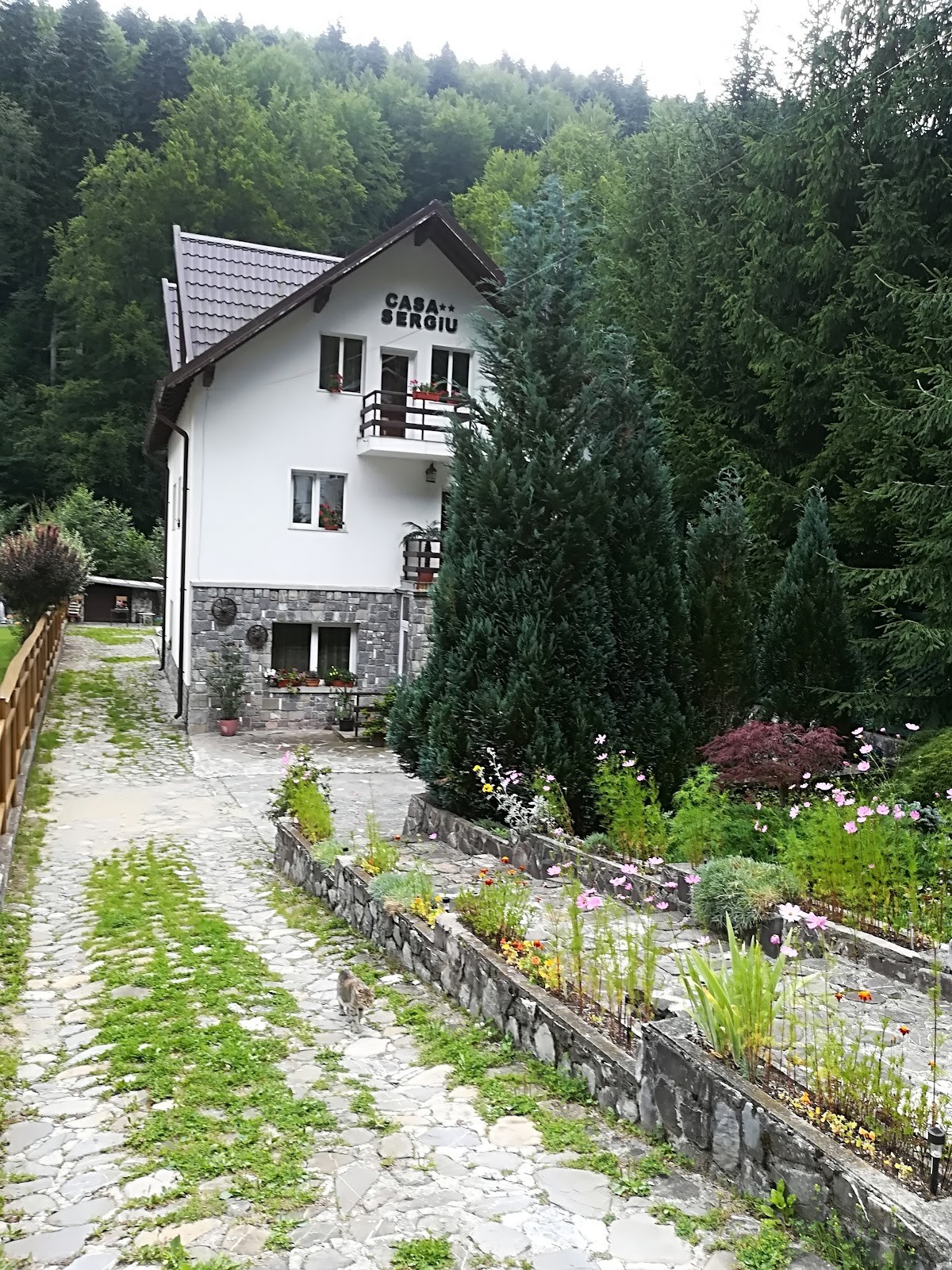 Casa Sergiu